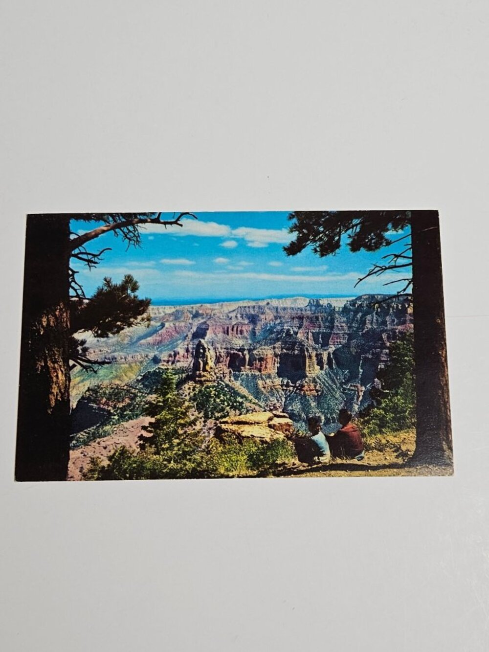North Rim of Grand Canyon of the Colorado Postcard